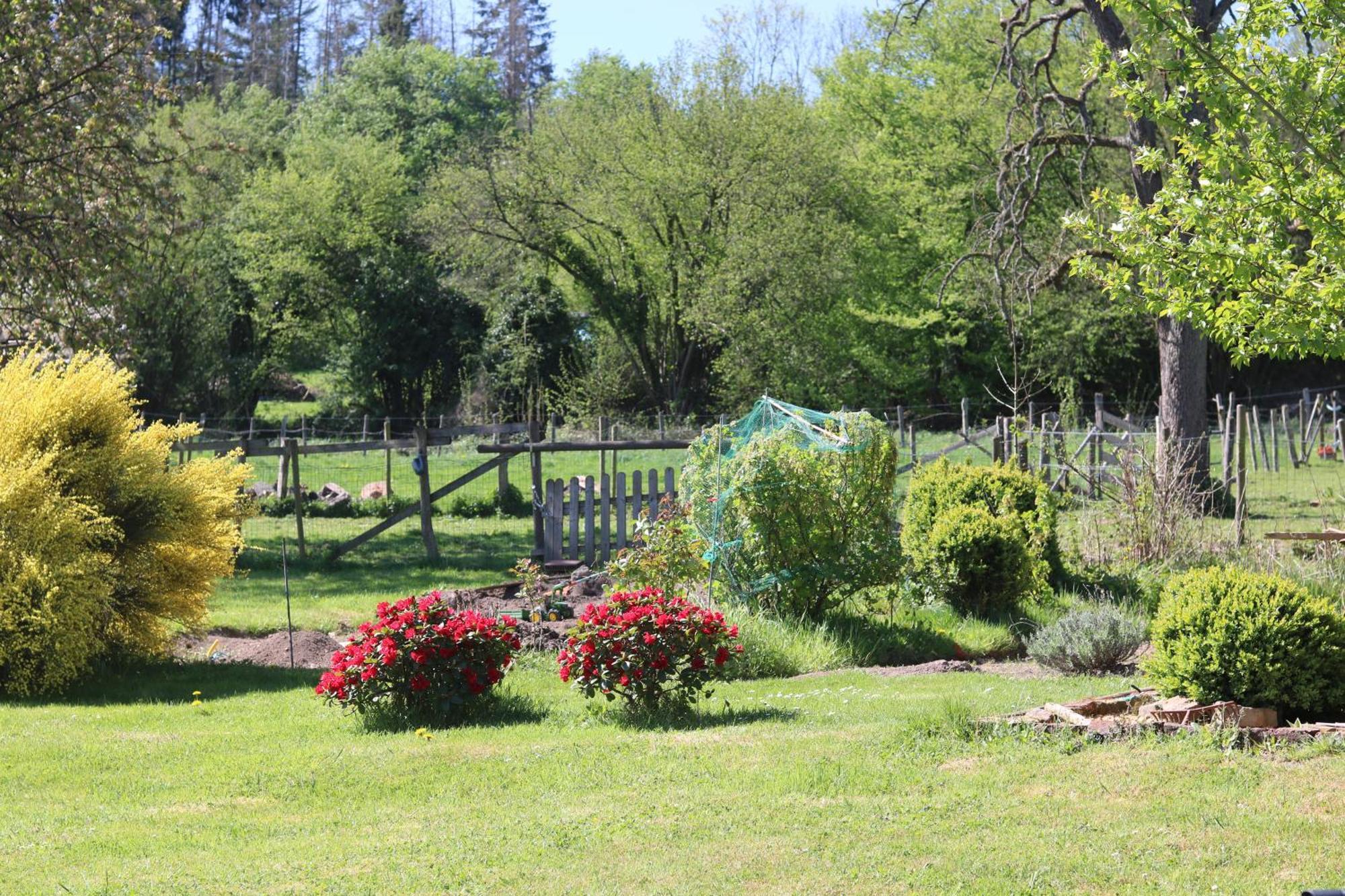 B&B Ferme Du Petit Breuil ヴェルヴィエ エクステリア 写真